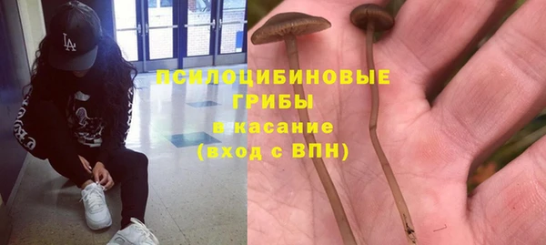 таблы Арсеньев