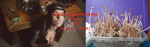 mix Аркадак