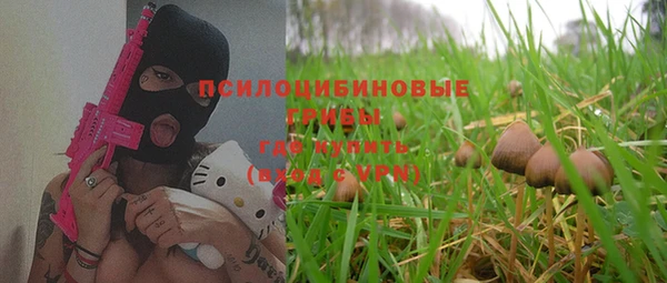шишки Алзамай